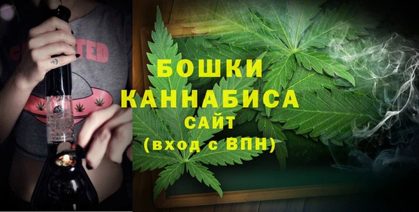 ALPHA PVP Белокуриха
