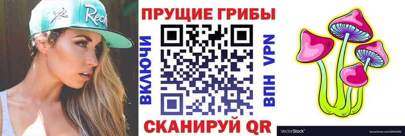 Псилоцибиновые грибы ЛСД  дарк нет какой сайт  Краснокаменск  МЕГА маркетплейс 