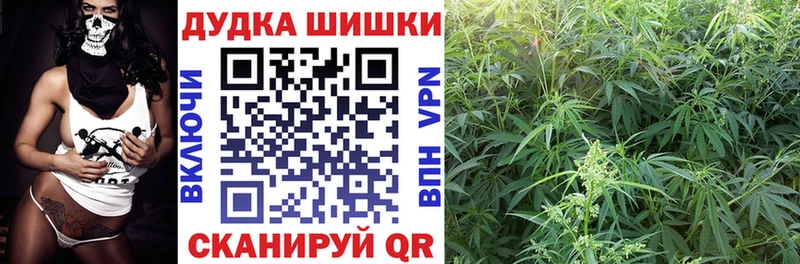 где продают   Краснокаменск  Шишки марихуана OG Kush 